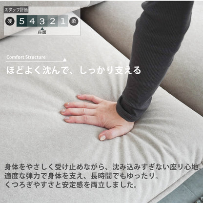 【組立設置配送】 ソファ 2.5人掛け 2人掛け 幅170cm 北欧 お掃除ロボット対応 撥水 ペット対応ハイバック ハイバックソファ SEM-006-KK